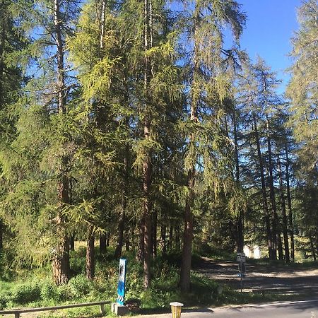 Chesa Muragls Pontresina Εξωτερικό φωτογραφία